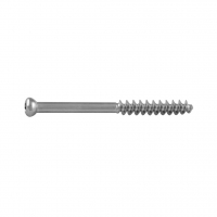 Cancellous Screw